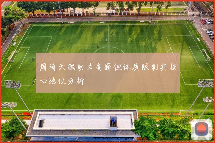 周琦天赋助力高薪但体质限制其核心地位分析