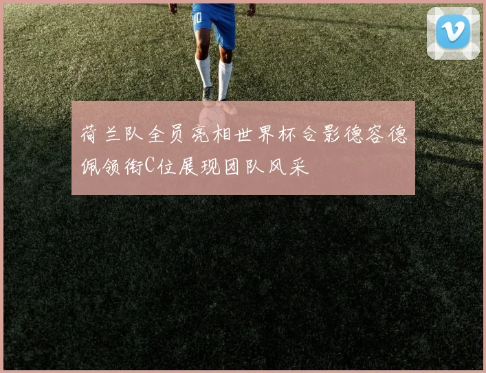 荷兰队全员亮相世界杯合影德容德佩领衔C位展现团队风采