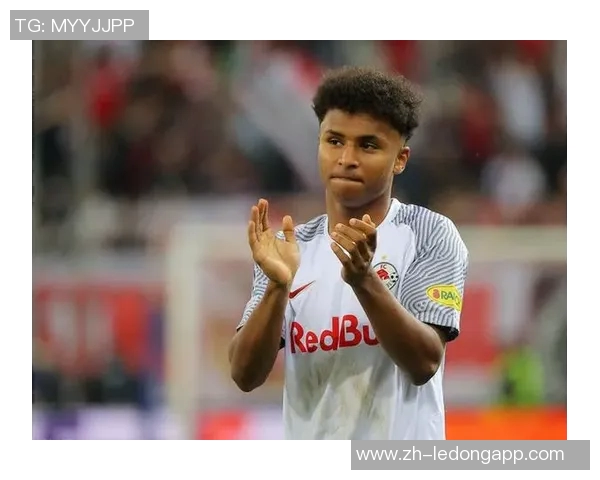 德媒揭示阿德耶米神秘盒子真相并非误购武器背后故事 德媒揭示阿德耶米神秘盒子真相并非误购武器背后故事